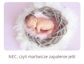 artykuł NEC